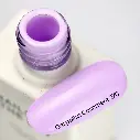 cashmere1.webp