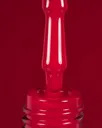 DARK Gel Polish 004, 10 ml
