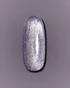 Dark Gel Polish Cat Eye 01, 10 ml