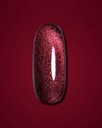 DARK Gel Polish Cat Eye 05, 10 ml