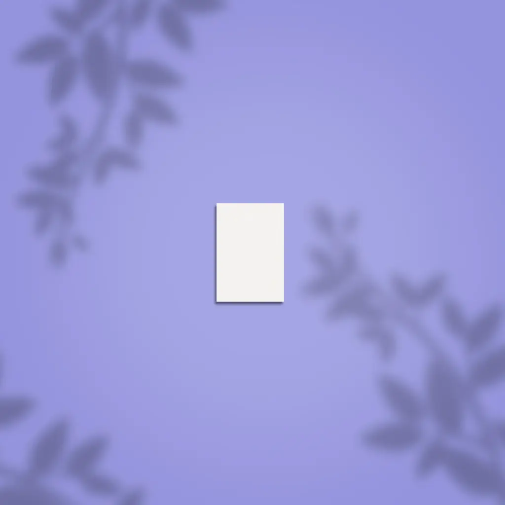 Lima pulidora rectangular mini STALEKS PRO 100/180 grano, kit de 50 piezas 